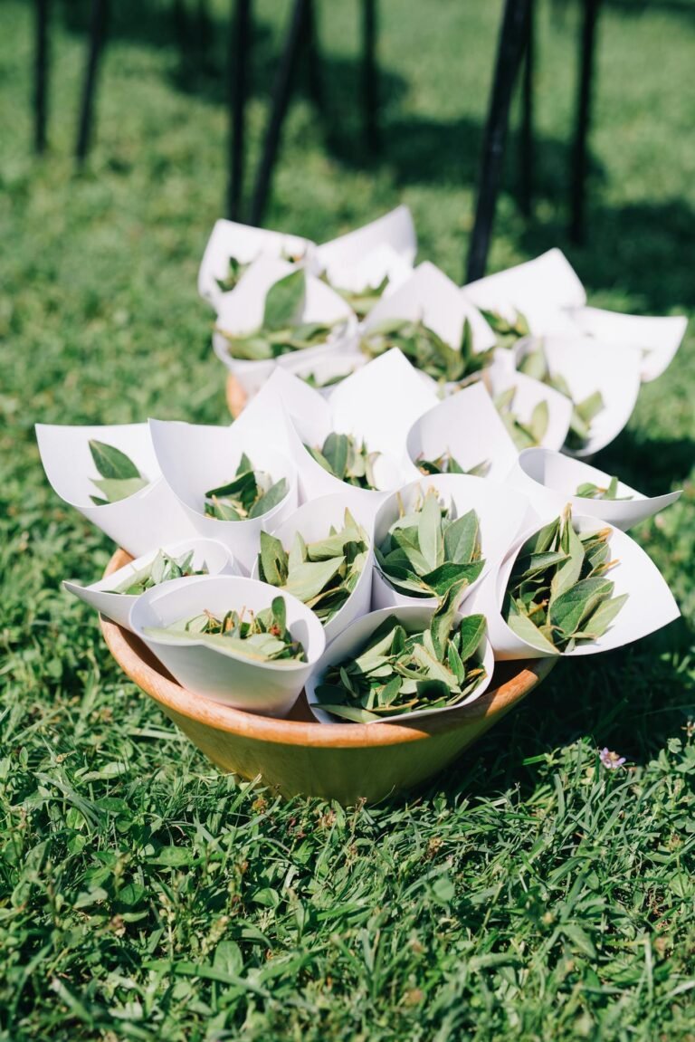 Herbal leaves arranged in paper cones on a grassy lawn, perfect for garden events.